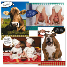 funny greeting cards 