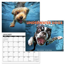 Strangest Holidays dog calendar 