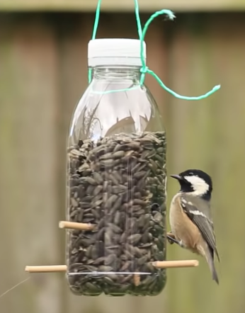 homemade bird feeders from plastic bottles